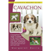 Cavachon