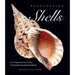 Fascinating Shells: An Introduction to 121 of the World's Most Wonderful Mollusks