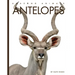 Antelopes