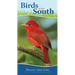 Birds of the South: Your Way to Easily Identify Backyard Birds