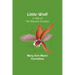 Little Wolf: A Tale of the Western Frontier