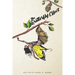 The Butterfly Effect: Metamorphosis