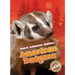 American Badgers