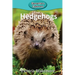 Hedgehogs