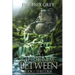 The Realm Between: The Curse: (Book 1)