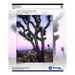 Visitor Vehicle Emissions Study: Joshua Tree National Park- Final Report