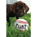 Runt