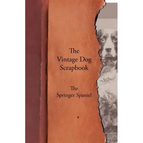The Vintage Dog Scrapbook - The Springer Spaniel