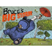 Bruce's Big Storm