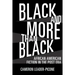 Black and More Than Black: African American Fiction in the Post Era