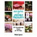 Aromatherapy: 365 Days of Aromatherapy (Aromatherapy Recipes Guide Books For Beginners and Everyone, Aromatherapy for Weight Loss, E