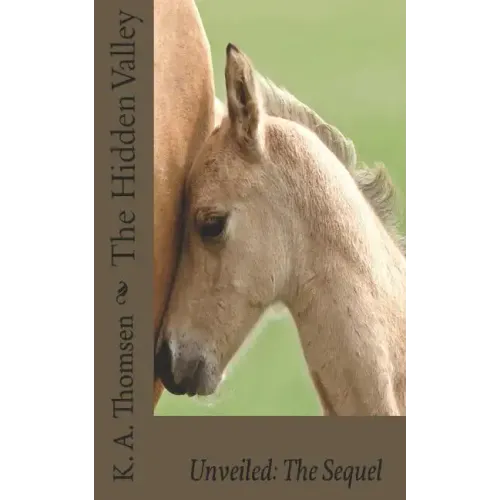 The Hidden Valley Unveiled: The Sequel
