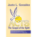 Acts: The Gospel of the Spirit
