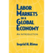 Labor Markets in a Global Economy: A Macroeconomic Perspective: A Macroeconomic Perspective