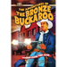 The Adventures of the Bronze Buckaroo