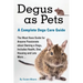 Degus as Pets, a Complete Degu Care Guide
