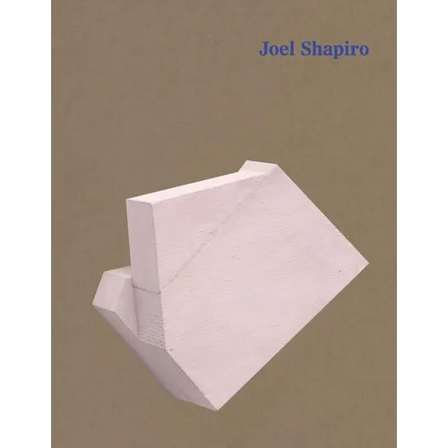 Joel Shapiro