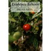 Evidence Echoes: Understanding soil structures for robust edible plant growth.