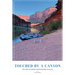 Touched by a Canyon: Rafting the Grand Canyon During COVID