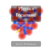 Physics Incarnate