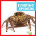 Jumping Spiders