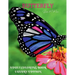 Butterfly Adult Coloring Book Luxury Edition: An Adult Coloring Book with Beautiful Butterflies Mantra Craft Coloring Book 36 Premium Butterfly Desing