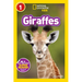 Giraffes (National Geographic Kids Readers, Level 1)