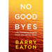 No Goodbyes: Life-Changing Insights from the Other Side