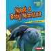 Meet a Baby Manatee