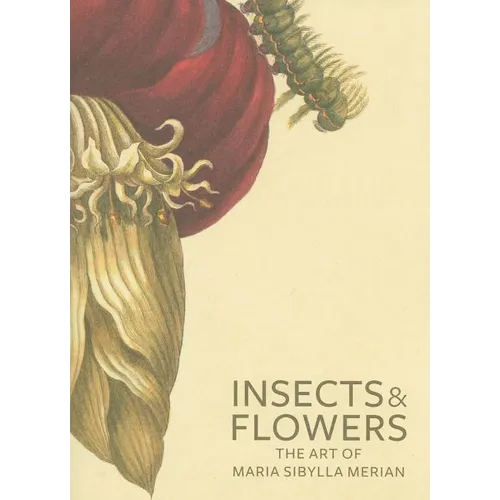Insects and Flowers: The Art of Maria Sibylla Merian