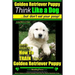 Golden Retriever Puppy Think Like a Dog But Don't Eat Your Poop! Golden Retriever Puppy Obedience & Behavior Training: Here's EXACTLY How to TRAIN You