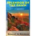 Splendour Of The Dawn: A Divine Conspiracy