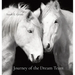 Journey of the Dream Team