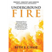 Underground Fire: Prevent, Identify and Survive Organizational Meltdowns