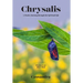 Chrysalis: A Poetic Journey through the Spiritual Life