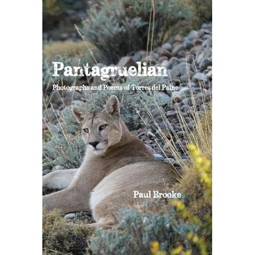 Pantagruelian: Photographs and Poems of Torres del Paine