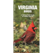 Virginia Birds: A Folding Pocket Guide to Familiar Species