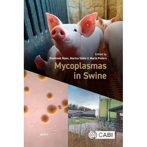 Mycoplasmas in Swine