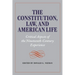 The Constitution, Law, and American Life: Critical Aspects of the Nineteenth-Century Experience