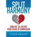 Split Harmony: Turn The "Ex-Factor" from Chaos to Compassion
