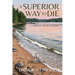 A Superior Way to Die: A Karin Niemi Mystery