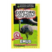 Everything You Should Know About: Emus