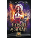 Hybrid Academy: Year One
