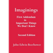 Imaginings: First Addendum to Important Things We Don't Know