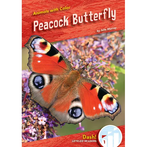 Peacock Butterfly