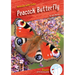 Peacock Butterfly