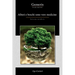 Alberi e boschi sono vere medicine