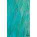 Meraki