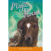 Pony Camp #8