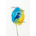 Color for Canvas